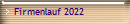 Firmenlauf 2022